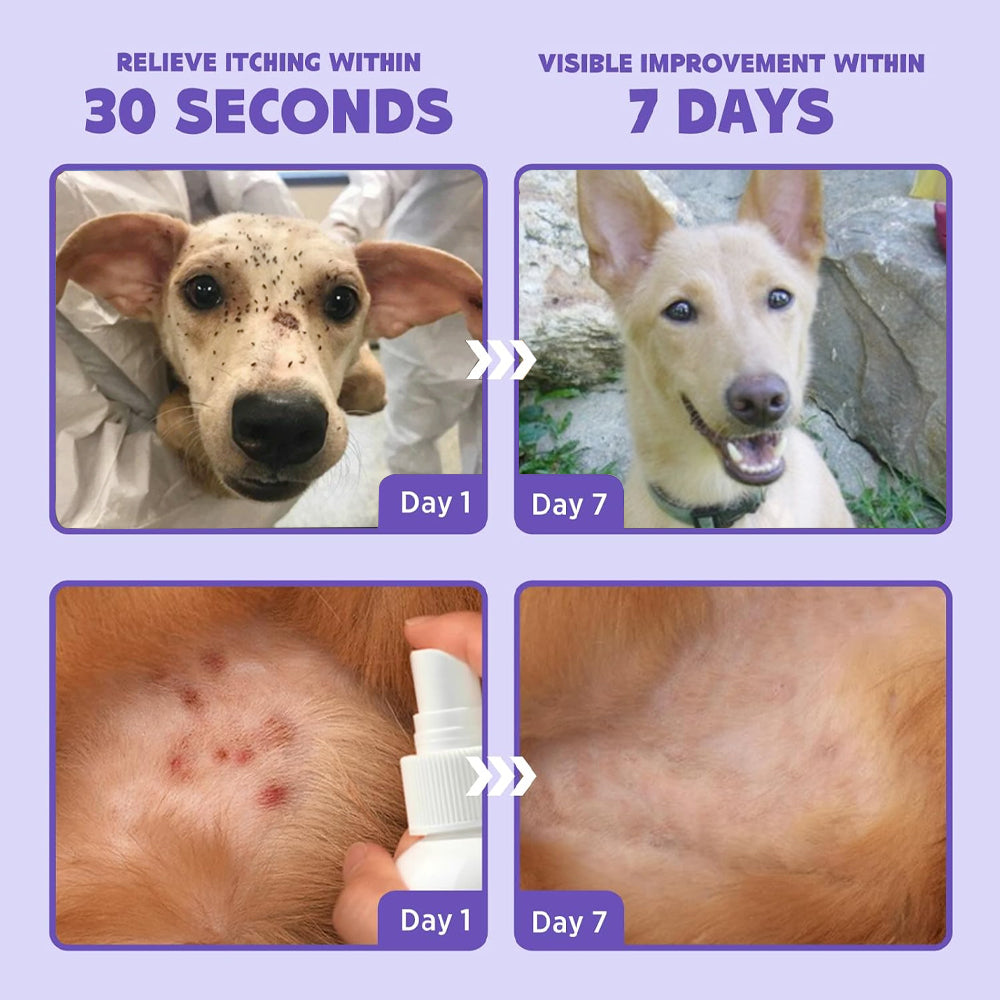 PetCare™ Flea & Tick Kolirin Spray 🔥 70% Limited Discounts