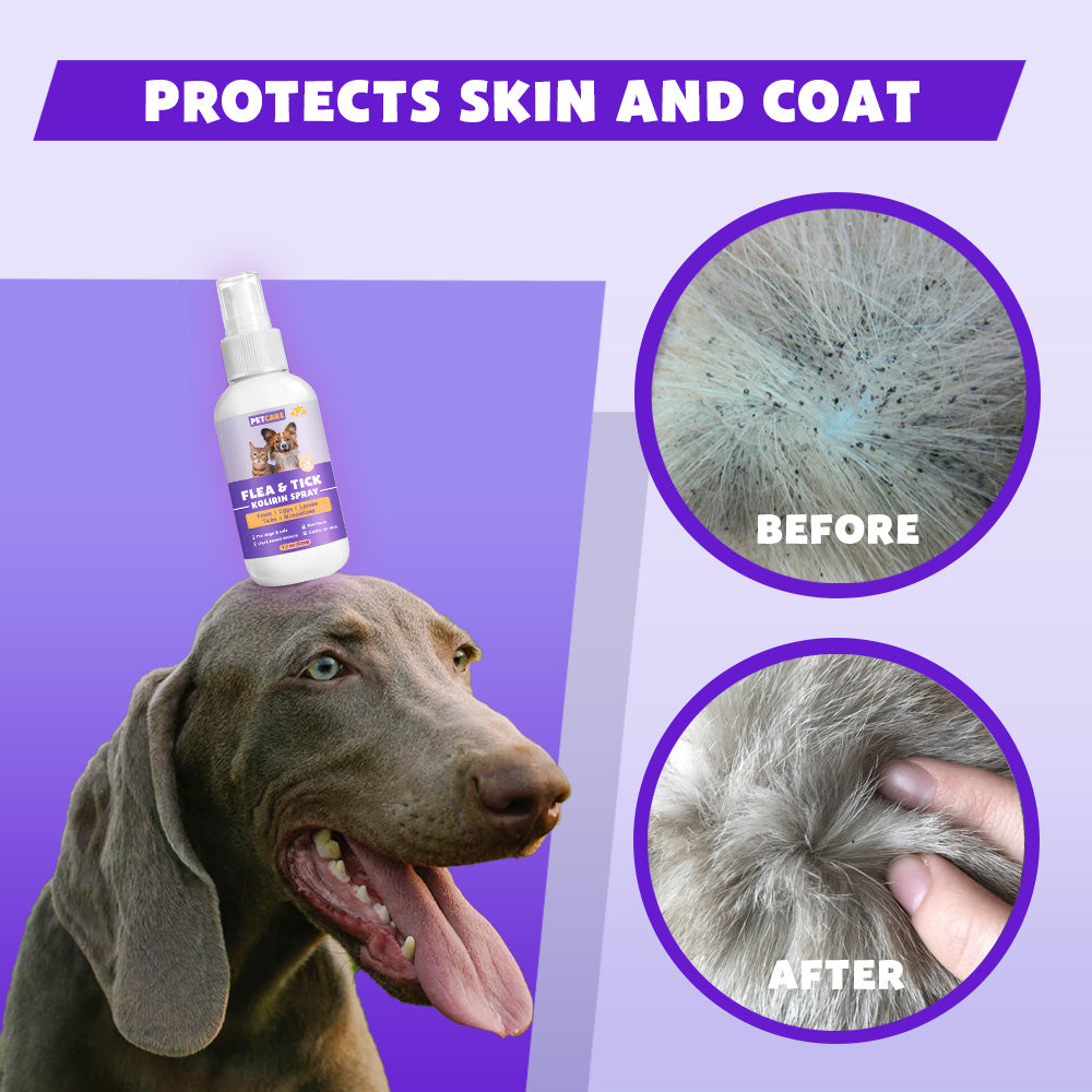 PetCare™ Flea & Tick Kolirin Spray 🔥 70% Limited Discounts