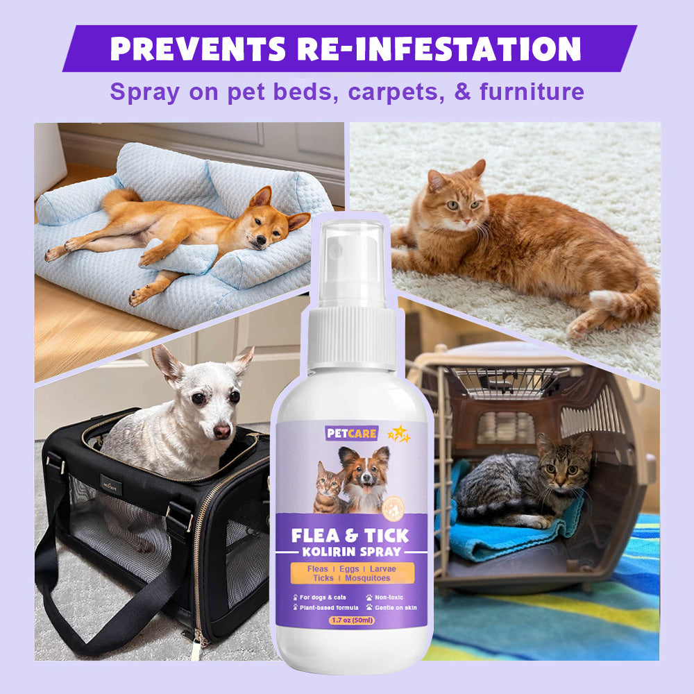PetCare™ Flea & Tick Kolirin Spray 🔥 70% Limited Discounts