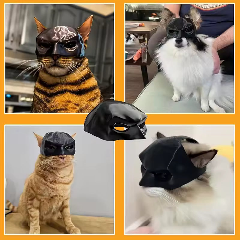 πͺ Funny Cat Muscle Arms β Hilarious Superhero Costume For Cats! πΎ