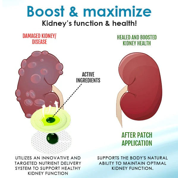 💥 2025 Limited 70% OFF ️⏳ UNPREE™ KOLIRIN Herbal Kidney Boost Patch 🌙 Improve Kidney And Sexual Health 100% In 2 Weeks