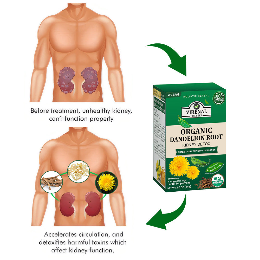 💥 2025 Big Sale 75% OFF ️🍃 VIRENAL WEBAG™ Organic Dandelion Root Kidney Detox Tea 💦 Improve Kidney And Enhance Sexual Function In 2 Weeks 🔥