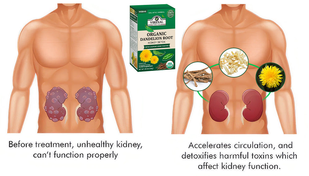 💥 2025 Big Sale 75% OFF ️🍃 VIRENAL WEBAG™ Organic Dandelion Root Kidney Detox Tea 💦 Improve Kidney And Enhance Sexual Function In 2 Weeks 🔥
