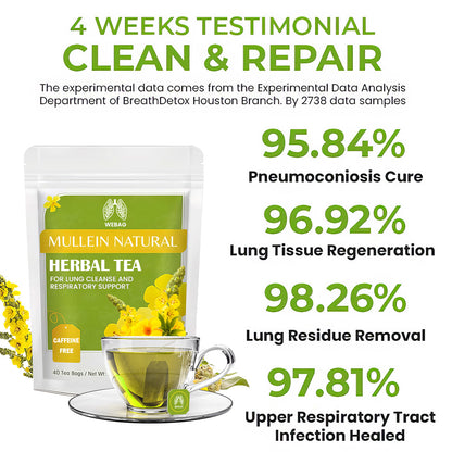 MULLEIN NATURAL Herbal Tea For Lung Cleanse And Respiratory Support