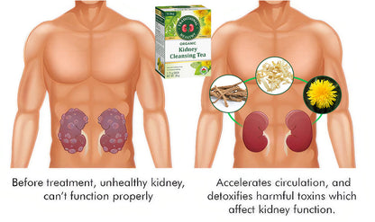 WeBag™ Organic Kidney Cleansing Tea 🔥 70% Limited Discounts