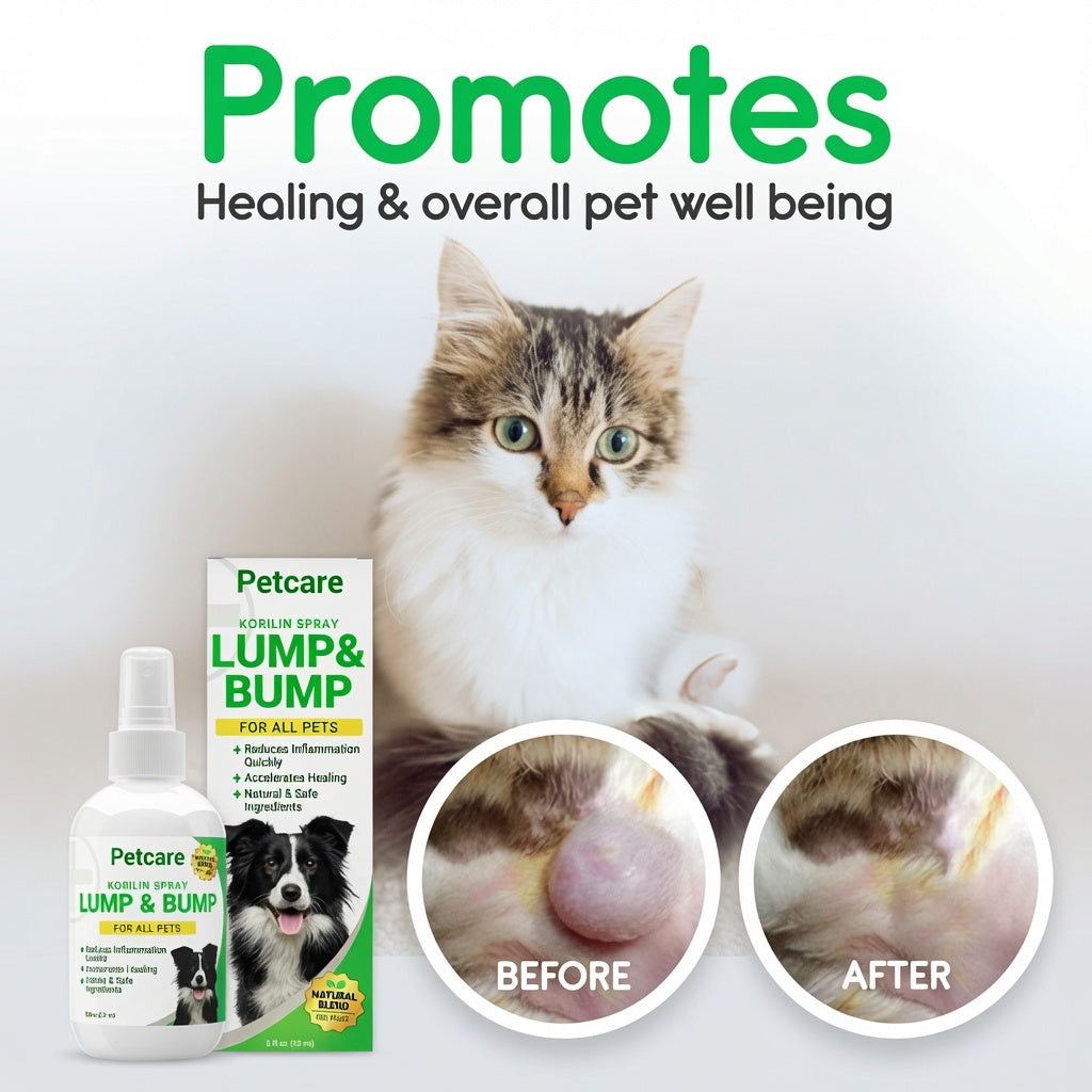 🔥 Last Day 70% OFF 🔥PetCare™ Korilin Pet Spray for Lumps & Bumps | Skin Care for Dogs & Cats