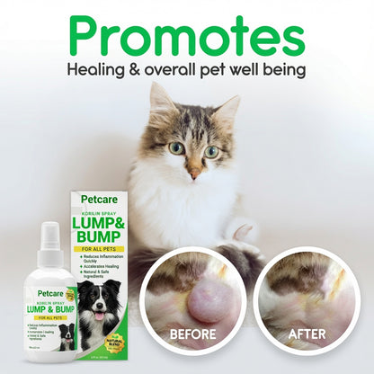 🔥 Last Day 70% OFF 🔥PetCare™ Korilin Pet Spray for Lumps & Bumps | Skin Care for Dogs & Cats